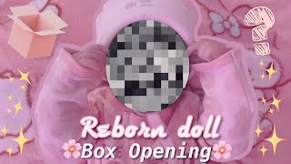 REBORN DOLL UNBOXING| Vlogmas week: Four| Reborns World