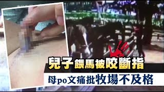 埔心牧場餵馬親子遊 前購物專家兒子被咬斷指 | 台灣蘋果日報