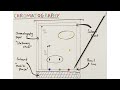 chromatography u0026 rf calculations gcse if confused this surprisingly simple explanation may help