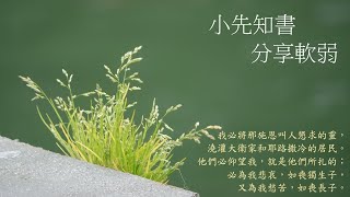 靈修:小先知書-分享軟弱 20240711