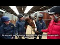 sparsholt college equine care students lizzie u0026 scarlett talk about their experience