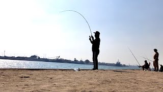 Best Fishing Spot in Abu Dhabi? | Monster Fishes Bite Our Baits A Lot