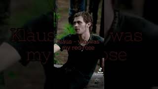 Y/n x Klaus Mikaelson