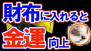 【風水】財布に入れると金運アップするもの5選！今すぐ確認！