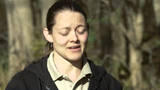 Deer Tips 7: Tracking | IndianaDNR