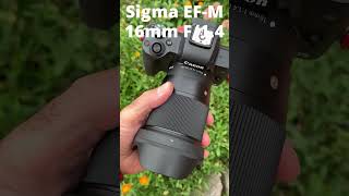 Sigma EF-M 16mm F/1.4 Prime Lens on Canon EOS M50 Mark II #shorts