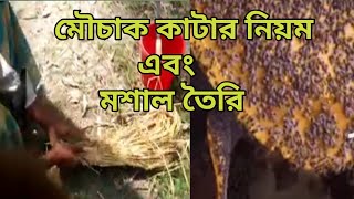 মৌচাক কাটার নিয়ম ও মৌসাল তৈরির পদ্ধতি শিখে নিন