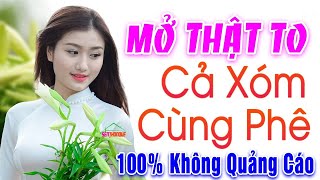 Mở To Xóm Chạy Sang Hỏi Nhạc Gì Mà hay Thế - Lk Bolero Hay Tê Tái Làm Sao Xuyến Triệu Con Tim