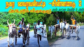 சின்ன மாடு 2  வைரவன்பட்டி சிவகங்கை (மா)  VAIRAVANPATTI CHINNA MAADU 01/08/2022