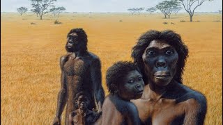Homo Erectus Documentary | Ancient Human