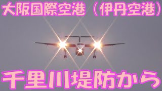 大阪国際空港（伊丹空港）を発着する飛行機を千里川土手から見る　２０２４年１２月１４日（土）