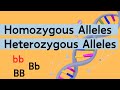 Homozygous vs Heterozygous