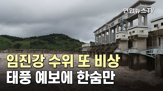 임진강 수위 또 비상…태풍 예보에 한숨만 / 연합뉴스TV (YonhapnewsTV)