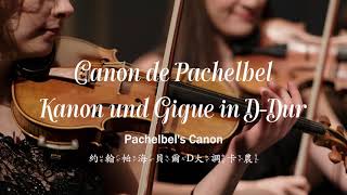 ♫ BGM│Pachelbel 帕海貝爾 - Canon! Kanon und Gigue in D-Dur für. D大調卡農與吉格. ♪