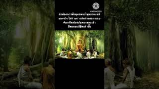 จะฟังพุทธพจน์ พุทธวจนแท้ ต้องเกิดทันพระพุทธเจ้า #พุทธศาสนา #อริยมรรคมีองค์8