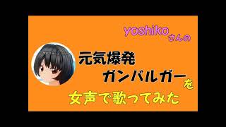 【両声類、女声】50過ぎのおじさんが女声で、yoshikoさんの「元気爆発ガンバルガー」を歌ってみた