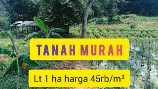 TANAH MURAH 45RB/M² LT 10.000M² LOK DESA SUKARESMI KEC SUKAMAKMUR BOGOR TIMUR