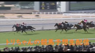 トリちゃんの競馬予想生配信　3月10日(日)　午後の部1