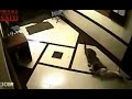 shocking moment a leopard sneaks into house and attacks family s pet dog