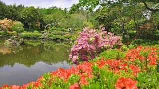 Huge Park in Jeju Filled with Nature! - Location, Opening Hours \u0026 More Info