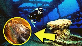 Divers Uncover A Strange Shipwreck That Could Answer A 170-Year-Old Question