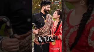 Lambe Rishtey Jindagi De Humsafar Jaruri Hai Full Screen Punjabi Status
