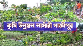 গাজীপুর কৃষি উন্নয়ন নার্সারীতে চারা গাছ/গাজীপুরে গাছের চারা/গাজীপুরে নার্সারির তথ্য/gazipur nursery