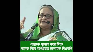 চোরকে সুযোগ করে দিতে ব্যাংক নিয়ে অপপ্রচার চালাচ্ছে বিএনপি