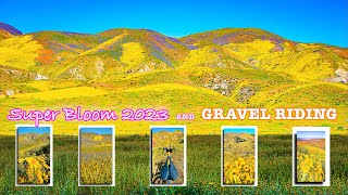 Carrizo Plain National Monument Wildflowers Super Bloom 2023 / Gravel Riding / Pinoy Gravel Riders