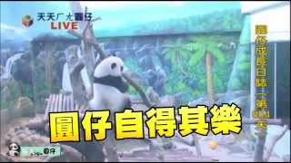 每日一圓仔--蘋果日報 20150919