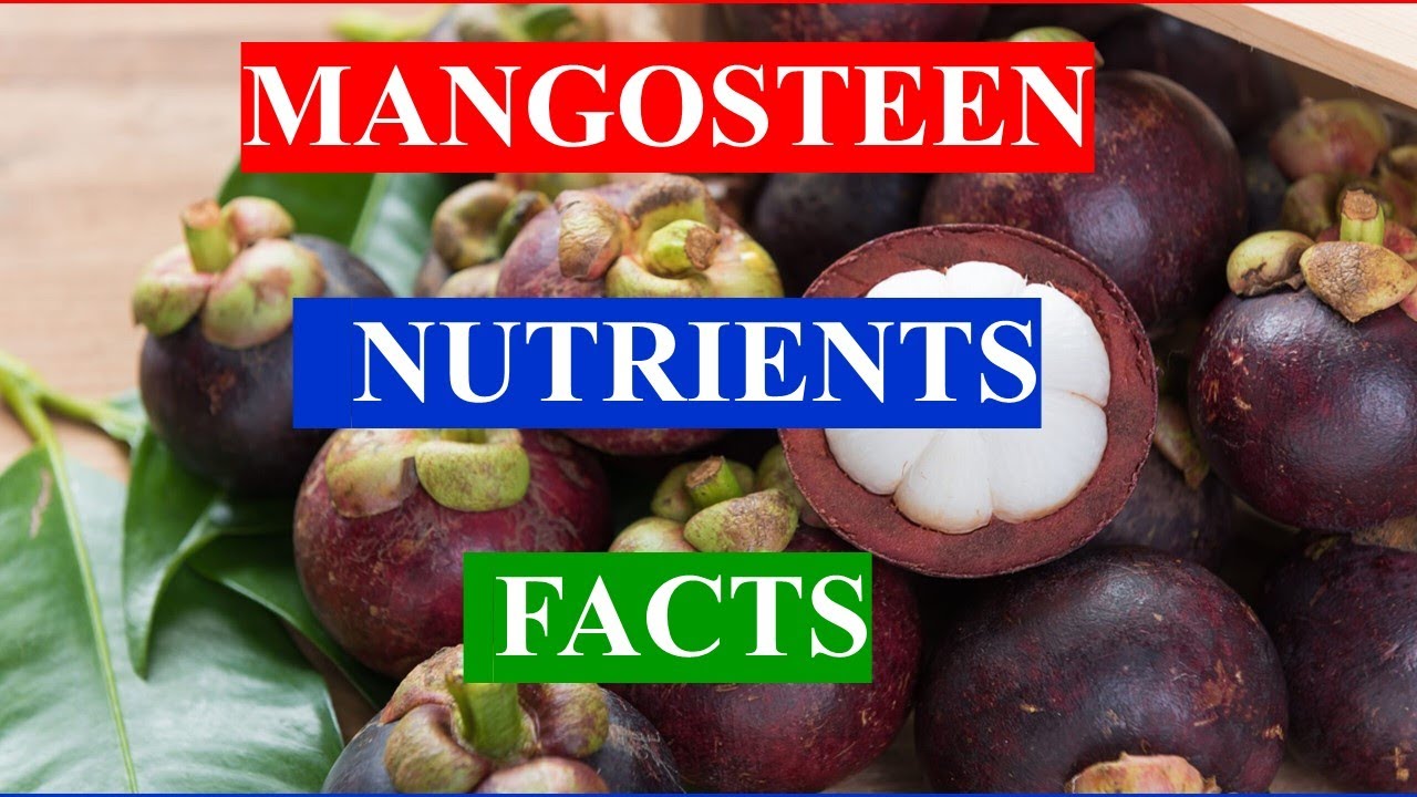 MANGOSTEEN FRUIT - HEALTH BENEFITS AND NUTRIENTS FACTS - YouTube