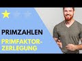 Primfaktoren, Primfaktorzerlegung, Teilbarkeitsregeln Einfach Erklärt + Beispiele