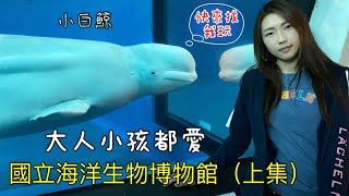 台灣陸地上的海龍宮「國立海洋生物博物館」一覽海底世界大驚奇（上集）