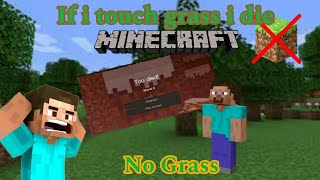 Minecraft but if i touch grass i die (Gone wrong 😱)