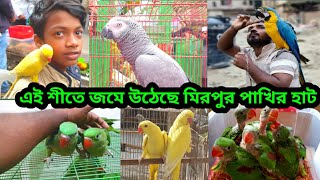 মিরপুর পাখির হাটে পানির দামে পাখি বিক্রি হচ্ছে||হঠাৎ করে পাখির দাম কমে গেল||01611119888