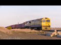 9173 QUBE Ultima Broad Gauge Container Train G532 & VL360 (17/9/2024) - PoathTV Australian Railways