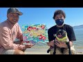 日本のhawaiiでフレブルたちと遊ぶbeni✖️r展【r all day】犬と琵琶湖遊び