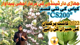 Top Cotton Variety|CS200|Performance|Farmer review|Actual Field Condition|Variety Requirements|Earn