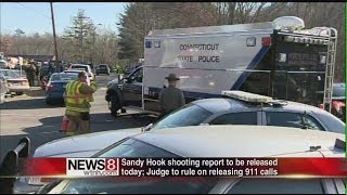 QU Prof on Newtown report