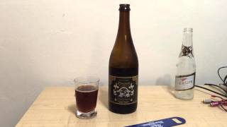 Prearis Quadrupel Belgian Ale Review and Taste Test