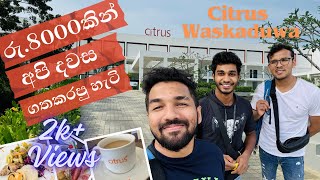 රු.8000 ට වාසිද අවාසිද? Day Out Vlog On Citrus Waskaduwa | Food Seeker SriLanka