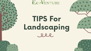 Landscaping Tips | Landscaping For Beginners #landscpingtips #landscapingdesigns