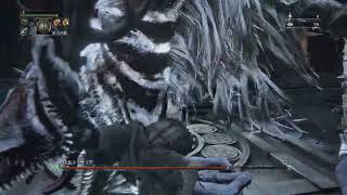 Bloodborne 初期Lv 貧者 カンストエミーリア