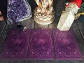 🌙 Pick a Card - what does spirit want you to know 🌙