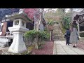 京都 二尊院を歩く　video of walking in nison in temple kyoto 2020.11.23