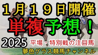 【単複平場予想】2025年1月19日JRA平場戦！若潮ステークスなど妙味ある馬を狙っていくコーナー！平場・特別戦を楽しむ8頭！