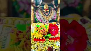 मां 《विंध्यवासिनी》 धाम _मिर्जापुर विंध्याचल_#viral_ #shyam _#viralvideo_ #love