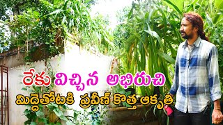 Creative Green Garden on |Cement Sheet Roof House| built by Praveen రేకులపై మిద్దె తోట