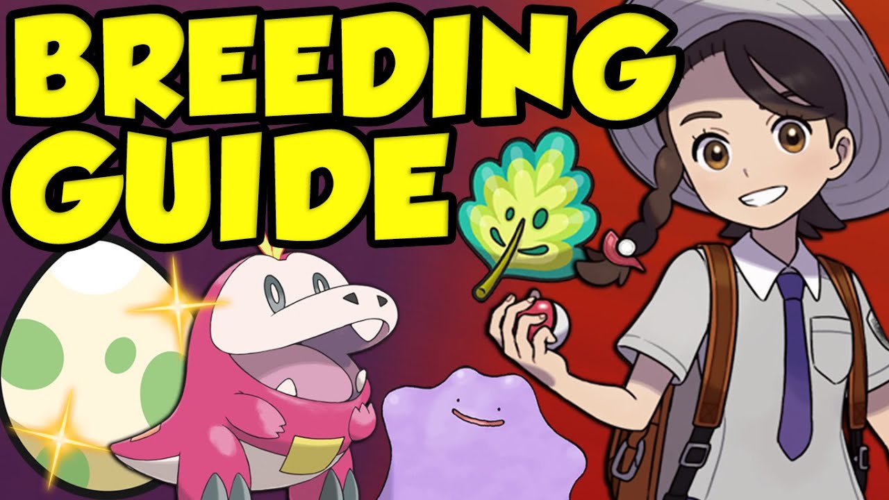 BEST POKEMON SCARLET AND VIOLET BREEDING GUIDE! How To Breed In Pokémon ...