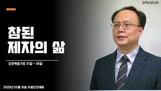 [오전예배] 참된 제자의 삶｜요한복음 8장 31절 - 38절｜홍진욱 목사 (2025.02.16)